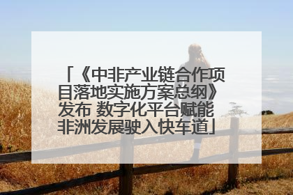 《中非产业链合作项目落地实施方案总纲》发布 数字化平台赋能非洲发展驶入快车道