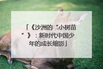 《沙洲的“小树苗”》：新时代中国少年的成长缩影