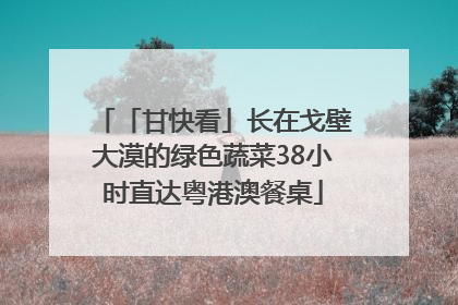 「甘快看」长在戈壁大漠的绿色蔬菜38小时直达粤港澳餐桌