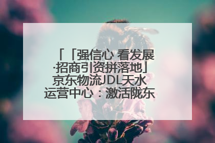 「强信心 看发展·招商引资拼落地」京东物流JDL天水运营中心：激活陇东南区域经济新引擎