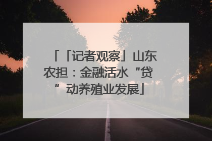 「记者观察」山东农担：金融活水“贷”动养殖业发展