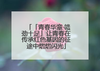 「青春华章·赣劲十足」让青春在传承红色基因的征途中熠熠闪光