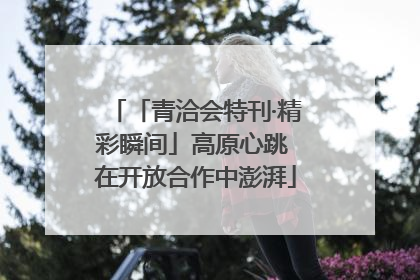 「青洽会特刊·精彩瞬间」高原心跳 在开放合作中澎湃