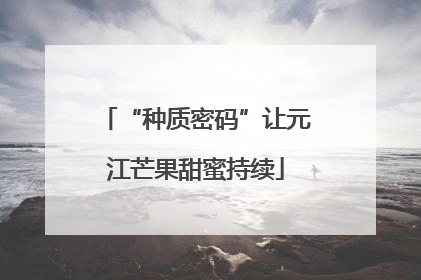 “种质密码”让元江芒果甜蜜持续
