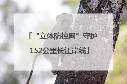 “立体防控网”守护152公里长江岸线