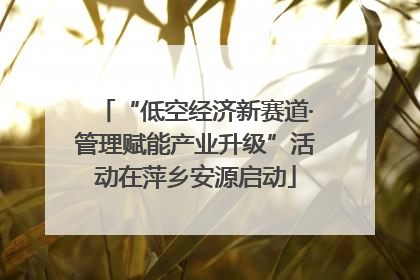 “低空经济新赛道·管理赋能产业升级”活动在萍乡安源启动