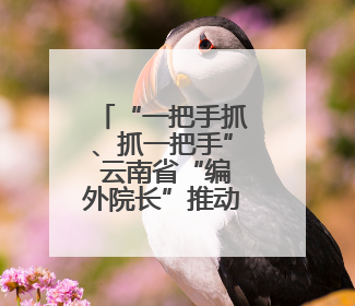 “一把手抓、抓一把手” 云南省“编外院长”推动医改
