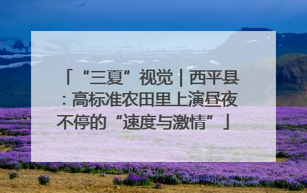 “三夏”视觉｜西平县：高标准农田里上演昼夜不停的“速度与激情”