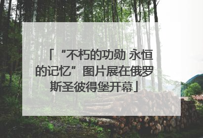 “不朽的功勋 永恒的记忆”图片展在俄罗斯圣彼得堡开幕