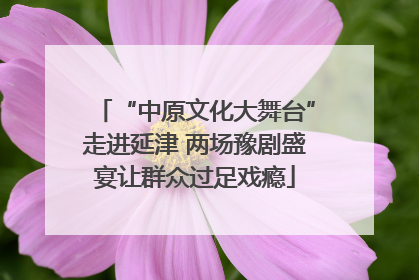 “中原文化大舞台”走进延津 两场豫剧盛宴让群众过足戏瘾