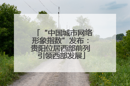 “中国城市网络形象指数”发布：贵阳位居西部前列 引领西部发展