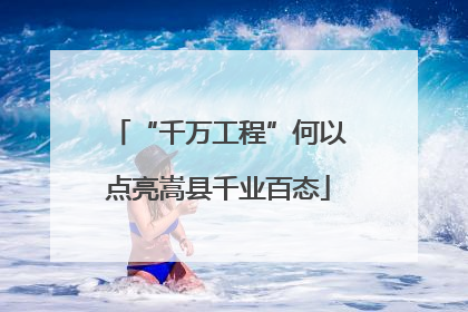 “千万工程”何以点亮嵩县千业百态