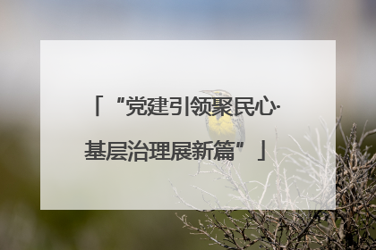 “党建引领聚民心·基层治理展新篇”