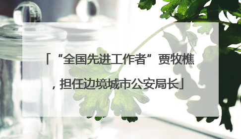 “全国先进工作者”贾牧樵，担任边境城市公安局长