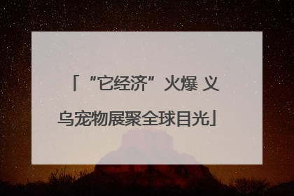 “它经济”火爆 义乌宠物展聚全球目光