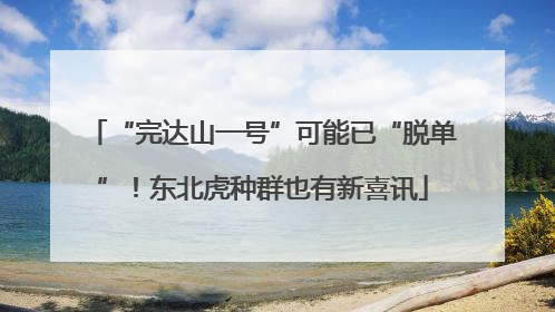“完达山一号”可能已“脱单”！东北虎种群也有新喜讯