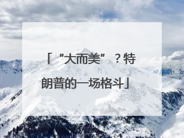 “大而美”？特朗普的一场格斗