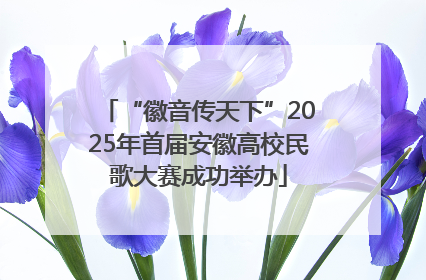 “徽音传天下”2025年首届安徽高校民歌大赛成功举办