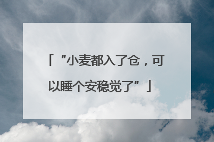 “小麦都入了仓，可以睡个安稳觉了”