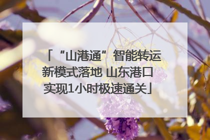 “山港通”智能转运新模式落地 山东港口实现1小时极速通关