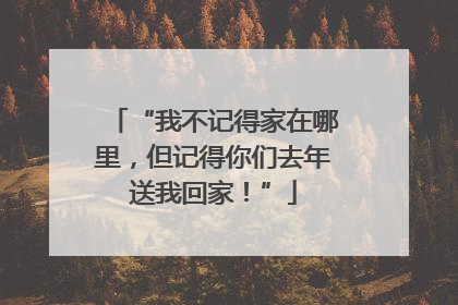 “我不记得家在哪里，但记得你们去年送我回家！”