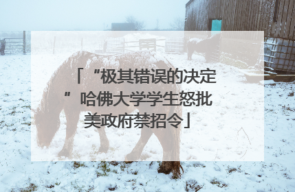 “极其错误的决定”哈佛大学学生怒批美政府禁招令