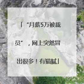 “月薪5万被裁员”，网上突然冒出很多！有猫腻