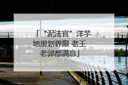 “泥法官”洋芋地里划界限 老王老郭都满意