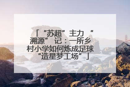 “苏超”主力 “溯源” 记：一所乡村小学如何炼成足球 “造星梦工场”