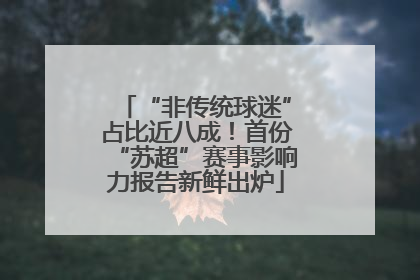 “非传统球迷”占比近八成！首份“苏超”赛事影响力报告新鲜出炉