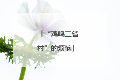 “鸡鸣三省村”的烦恼