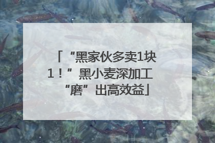 “黑家伙多卖1块1！”黑小麦深加工“磨”出高效益