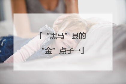 “黑马”县的“金”点子→