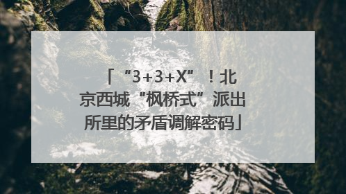 “3+3+X”！北京西城“枫桥式”派出所里的矛盾调解密码