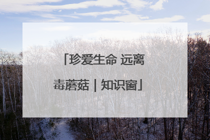 珍爱生命 远离毒蘑菇｜知识窗