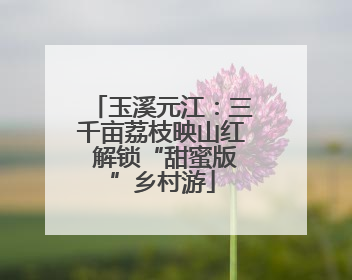 玉溪元江：三千亩荔枝映山红 解锁“甜蜜版”乡村游