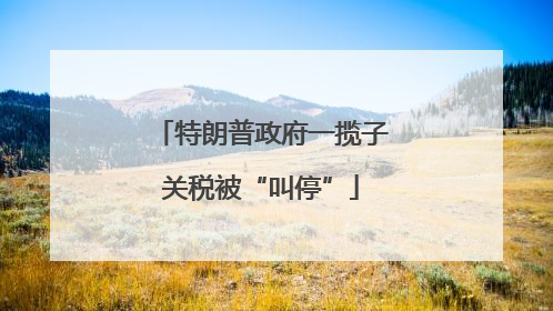 特朗普政府一揽子关税被“叫停”