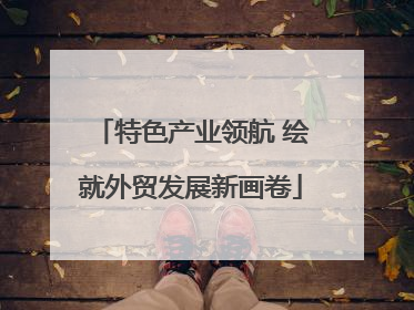 特色产业领航 绘就外贸发展新画卷