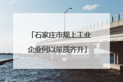 石家庄市规上工业企业何以量质齐升