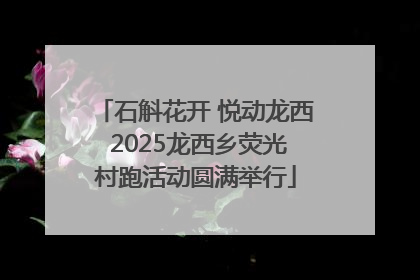 石斛花开 悦动龙西 2025龙西乡荧光村跑活动圆满举行