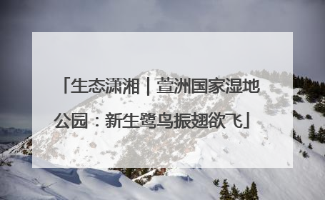 生态潇湘｜萱洲国家湿地公园：新生鹭鸟振翅欲飞