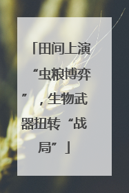 田间上演“虫粮博弈”，生物武器扭转“战局”