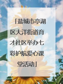 盐城市亭湖区大洋街道育才社区举办七彩护航爱心课堂活动