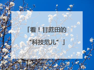 看！甘蔗田的“科技范儿”