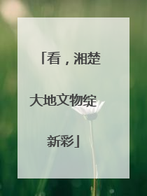 看，湘楚大地文物绽新彩