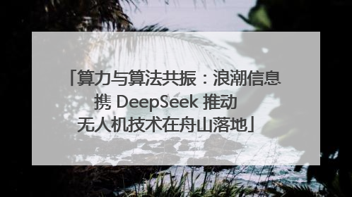 算力与算法共振：浪潮信息携 DeepSeek 推动无人机技术在舟山落地