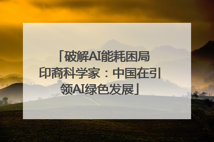 破解AI能耗困局 印裔科学家：中国在引领AI绿色发展