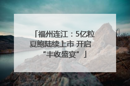 福州连江：5亿粒夏鲍陆续上市 开启“丰收盛宴”