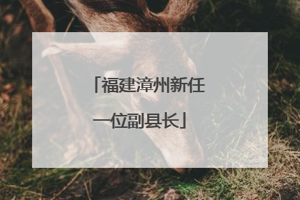 福建漳州新任一位副县长