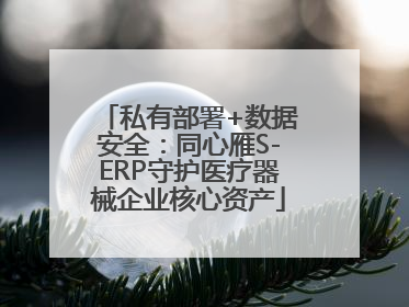 私有部署+数据安全：同心雁S-ERP守护医疗器械企业核心资产